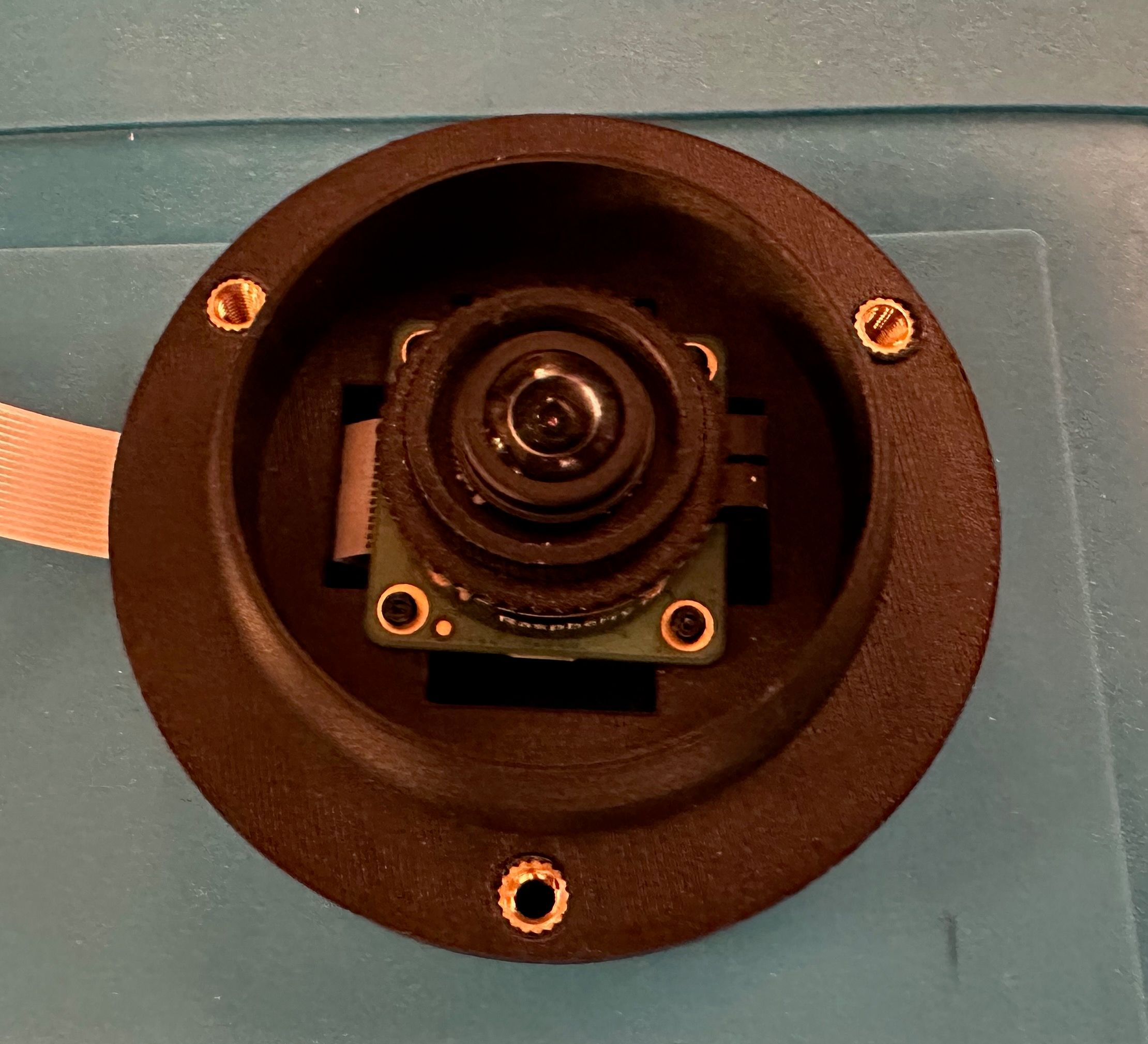 Camera mounted