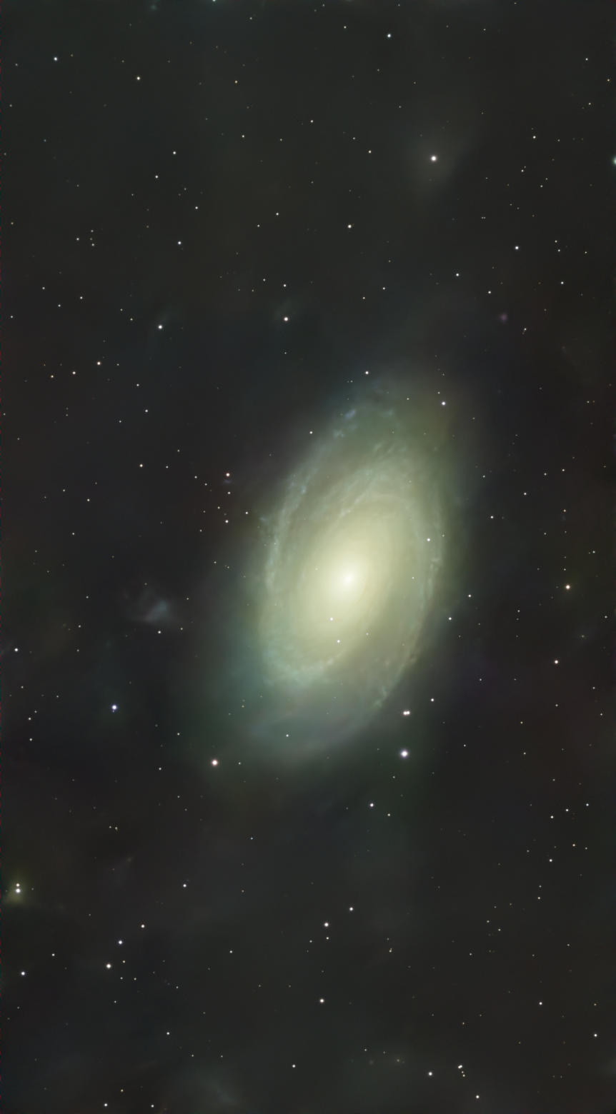 Bode's Galaxy