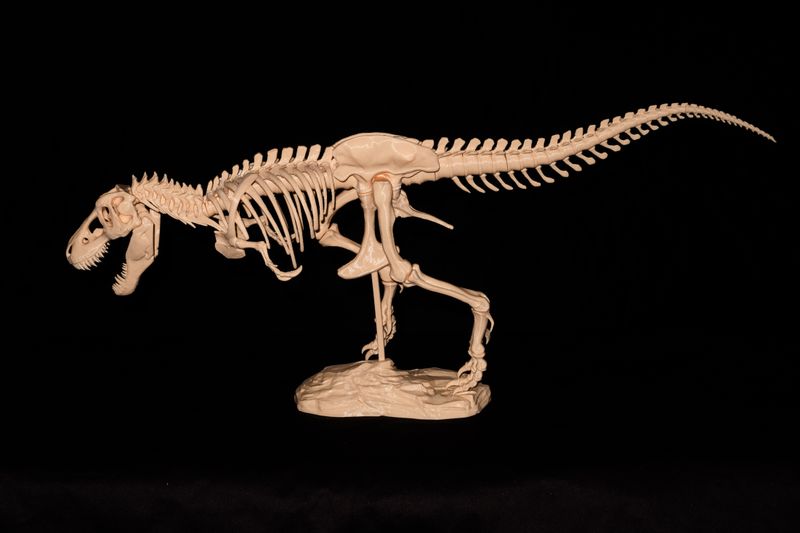T-Rex